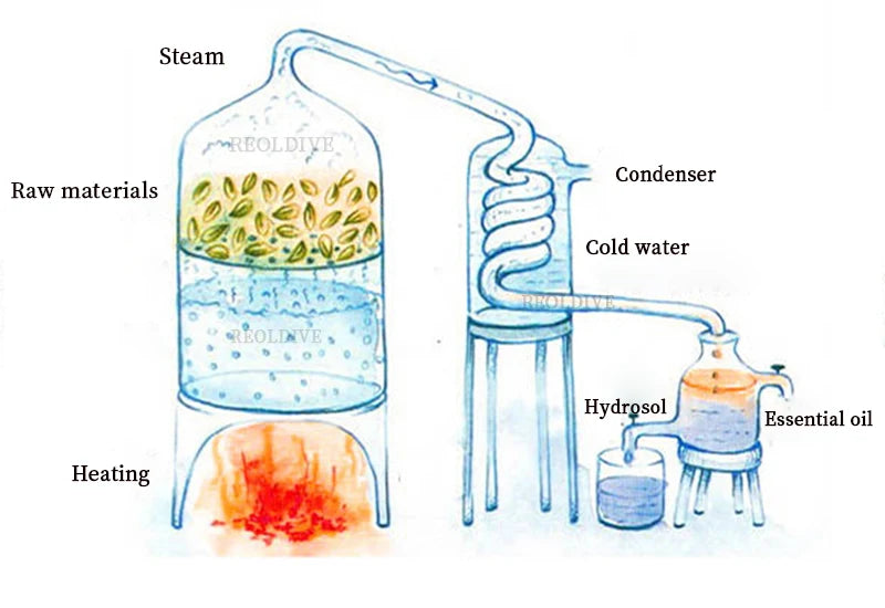img_329694