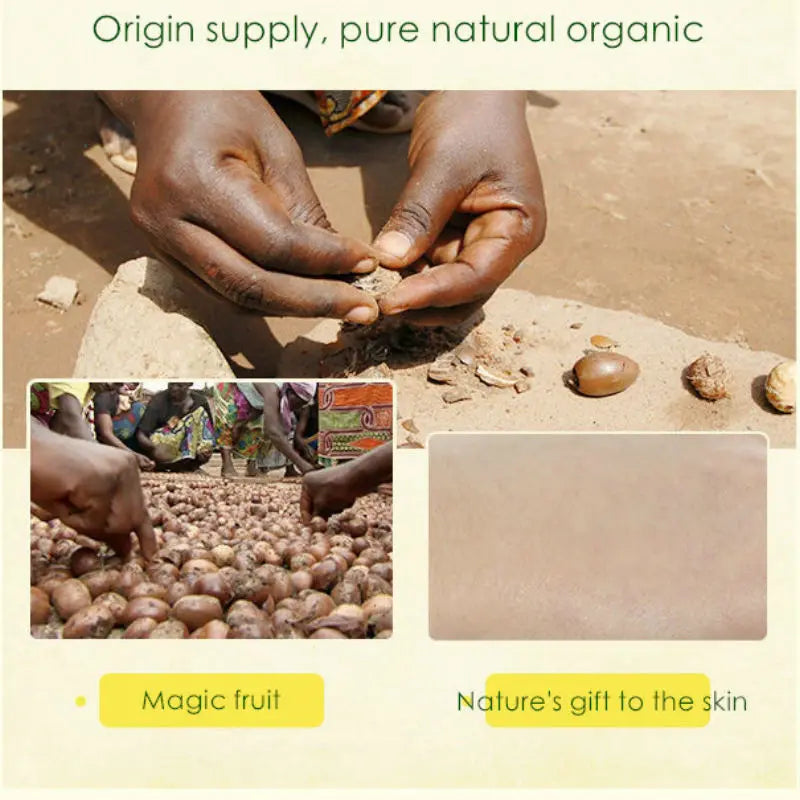 img_1040468