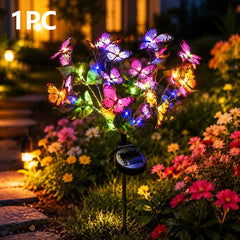 img_15214401