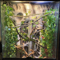 Suction Cup Vine for Reptile Tank with Sheath
