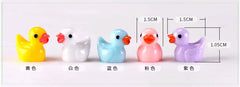 img_2994581