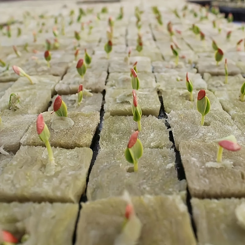 50pcs Grow Cubes Hydroponics Plant Propagation Nutrient Blocks 25x25x25mm
