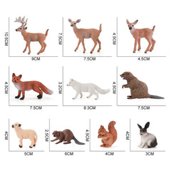 img_2867053
