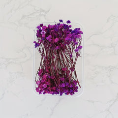 Dried Flower Bouquet Set - Real Naturally Dried Flowers for DIY Crafts