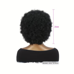 Short Afro Curly Synthetic Hair Wigs Fluffy Hair Replacement Wigs