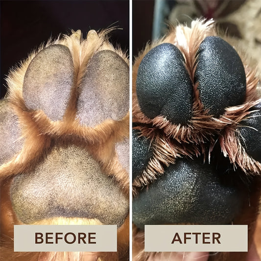 All Natural Paw Balm for Pet Foot Care