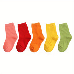 10 Pairs Girls Rainbow Candy Crew Socks for Kids