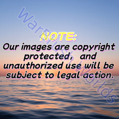 img_5224667
