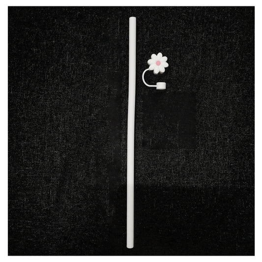2 Sets Reusable Straws & Covers Combo, 2 Silicone Straws & Plugs Cup Accessories