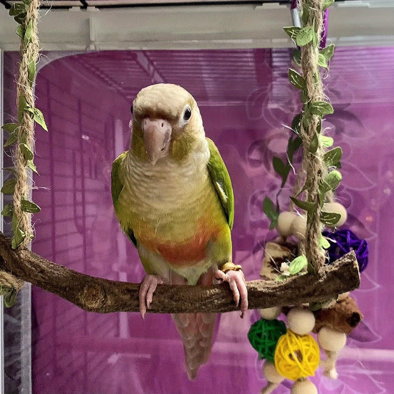 Solid Wood Parrot Swing Toy for Peony Cockatiel Budgerigar