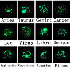 img_5602894