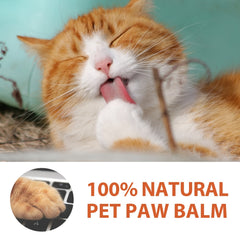 Paw Protection Cream: Soothes, Moisturizes & Heals Dry Paws