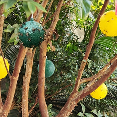 Pumpkin Fly Trap Ball - Instantly Eliminate Flies