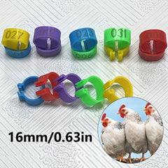 100pcs Poultry Foot Rings for Chicken Duck Geese Pigeon Marking