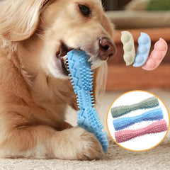 img_4108563