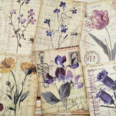 8pcs Vintage Botanical Flower Plants Nature Scrapbook Papers DIY Crafts