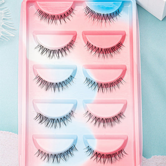 5 Pairs Natural False Eyelashes