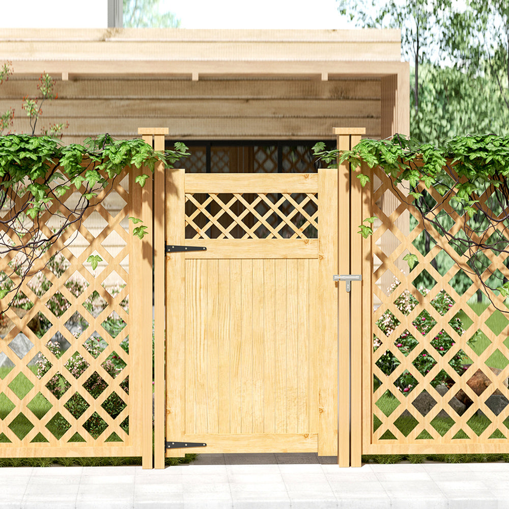 img_11148147