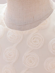 Little Girl Princess Dress