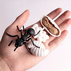 Children's Ant Family Growth Cycle Science Set