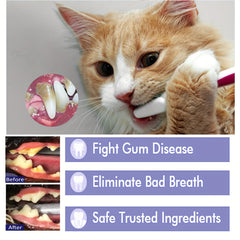 Pet Toothbrush 50g Dog Teeth Cleaning Toothpaste Plaque Tartar Control