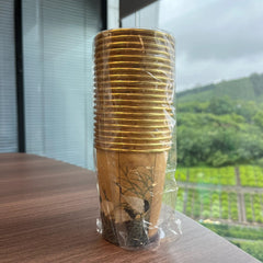 20pcs Disposable Golden Paper Cups Fancy Unique Designs for Hot Cold Drinks