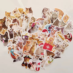50Pcs Cat Waterproof Vinyl Stickers KidsTeens Girls