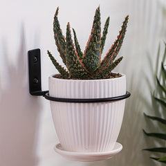 Metal Flower Pot Holder Rings Wall Mounted Planter Hooks with Screws
