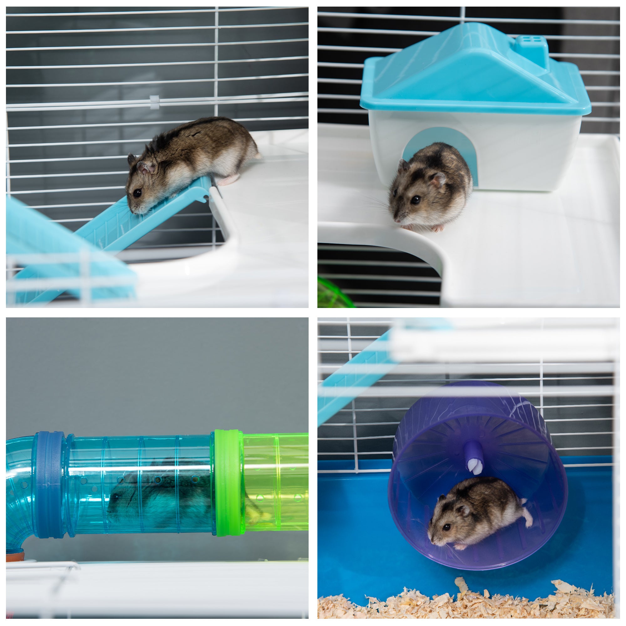 img_7468191