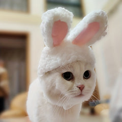 Plush Cat Headgear with Bunny Ears for Pet Cosplay