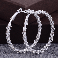 Twisted Hoop Earrings For Women Girls 1Pair