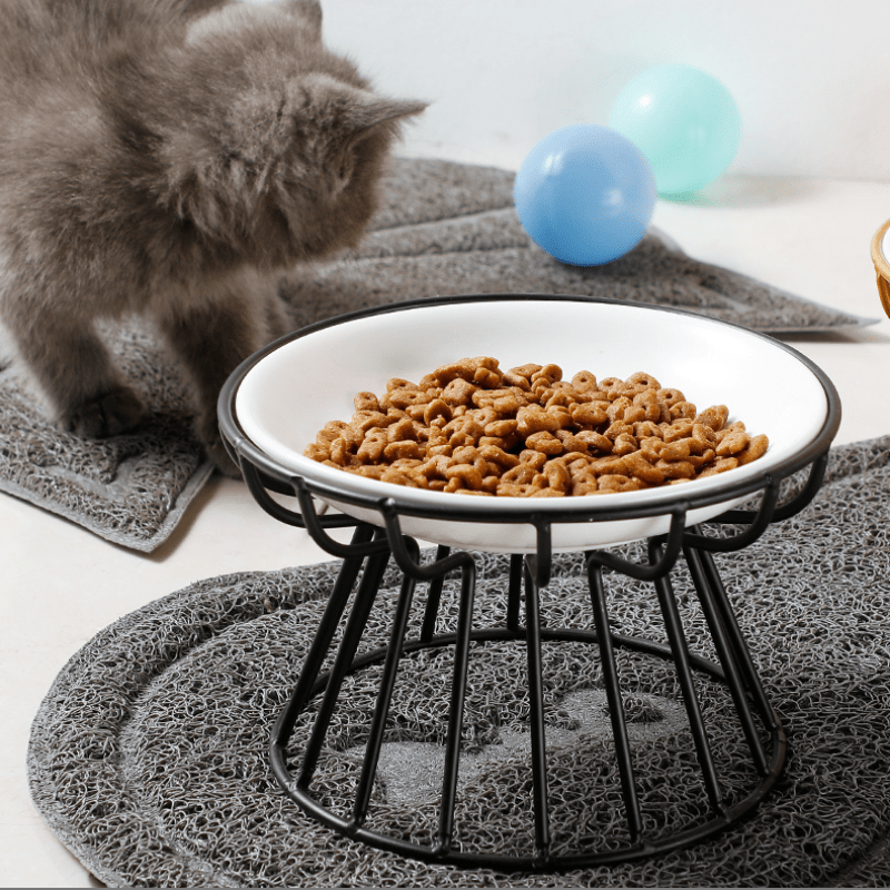 Pet Ceramic Bowl Raised Cat Food Bowl for Indoor Dogs & Cats