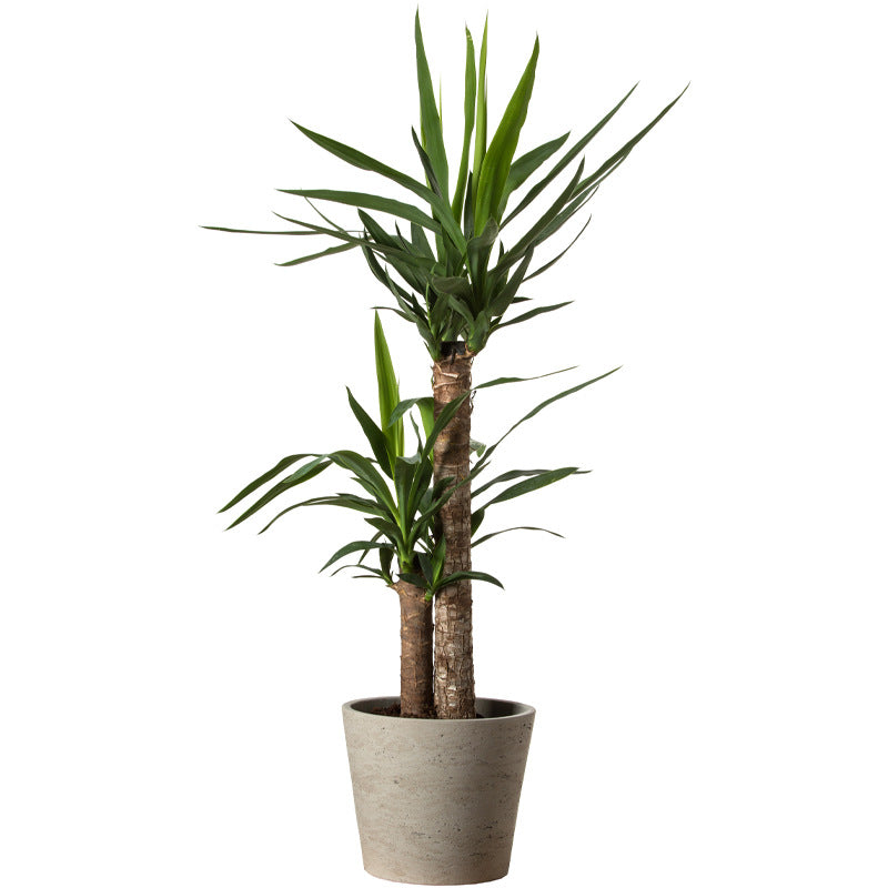 Green Plant Potted Stickers for Home Decor Self Adhesive Wall Decals
