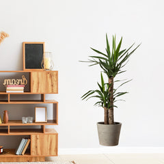Green Plant Potted Stickers for Home Decor Self Adhesive Wall Decals