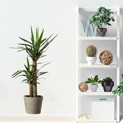 Green Plant Potted Stickers for Home Decor Self Adhesive Wall Decals
