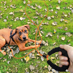 Long Dog Training Leash with Comfortable Handle for Walking, Camping, Backyard