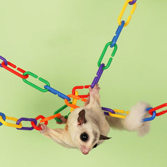 100pcs Random Bird C Clips Hooks Toys for Rat and Parrot Toys