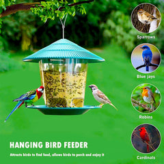 Outdoor Bird Feeders to Attract Wild Birds