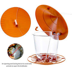 Outdoor Bird Feeders to Attract Wild Birds