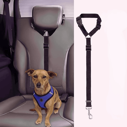Pet Car Seat Belt and Leash for Safe Travel with Your Dog or Cat