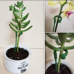 10pcs Plastic Plant Supports Flower Stand Gardening Supplies