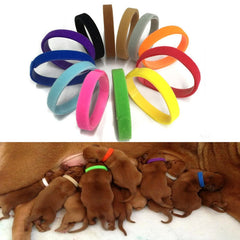 12-Piece Adjustable Nylon Puppy Collar Set for Newborn Pets