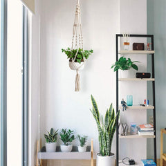 2pcs Plant Hanger Set for Round and Square Pots