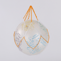 Mesh Bag & Inflatable Needles Set for Sports Balls
