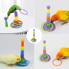 Interactive Parrot Toy for Chewing and Training