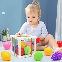 Early Education Baby Toys 9 Months Infants Over 6 Months Puzzle 1 Year Old