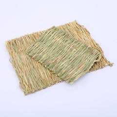 Soft Pet Grass Mat for Small Animals