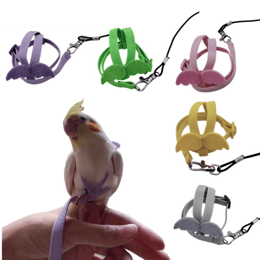 Adjustable Parrot Harness Leash for Comfortable Flying