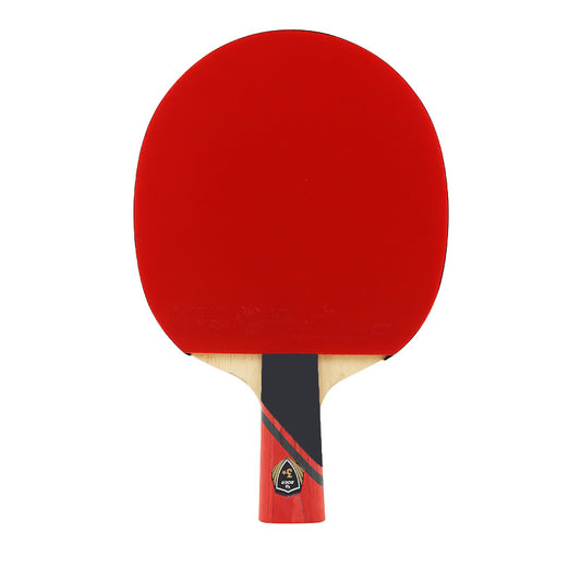 3 Star Paddle Set with Long/Short Handle & Storage Bag