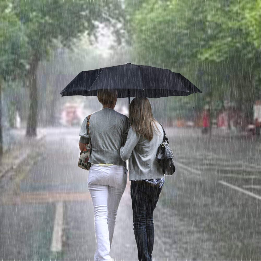 Windproof Coated Travel Umbrella Auto Open Close Stylish Lightweight